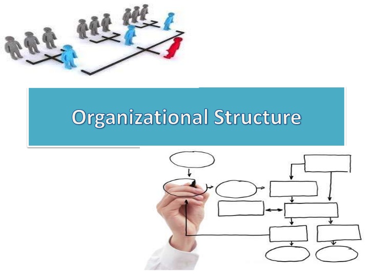  COURAGEOUS Organizational STRUCTURE
