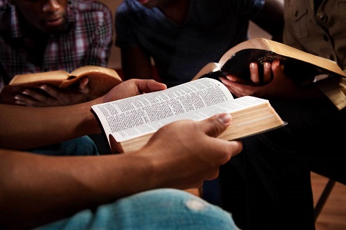 How to Harvest the Word of God