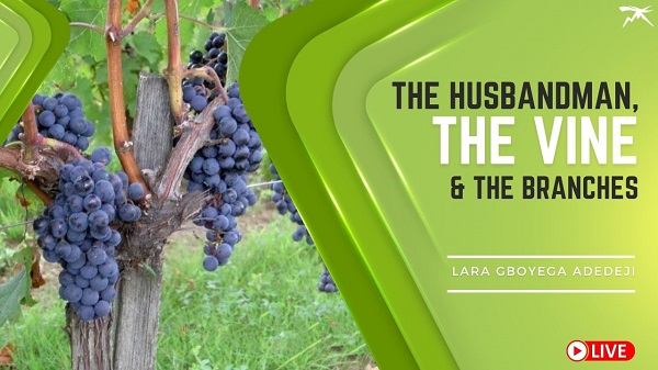 The Husbandman, The Vine and The Branches