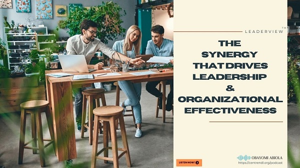 The Synergy that Drives Leadership and Organizational Effectiveness