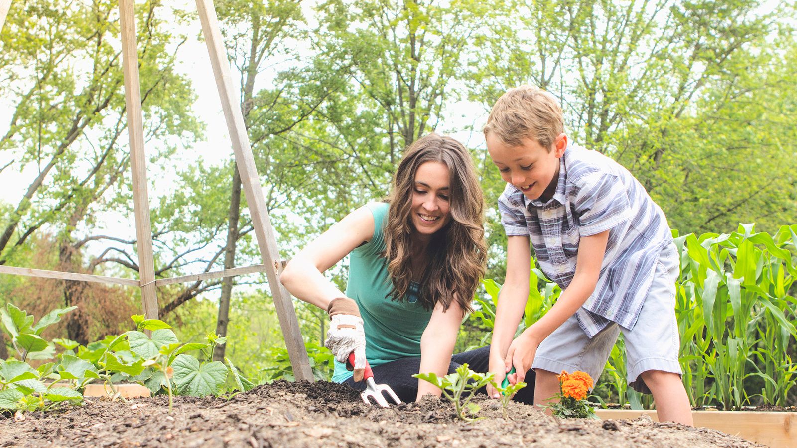 Cultivate Your Personal Garden: Strategies for Excelling In  Discipleship
