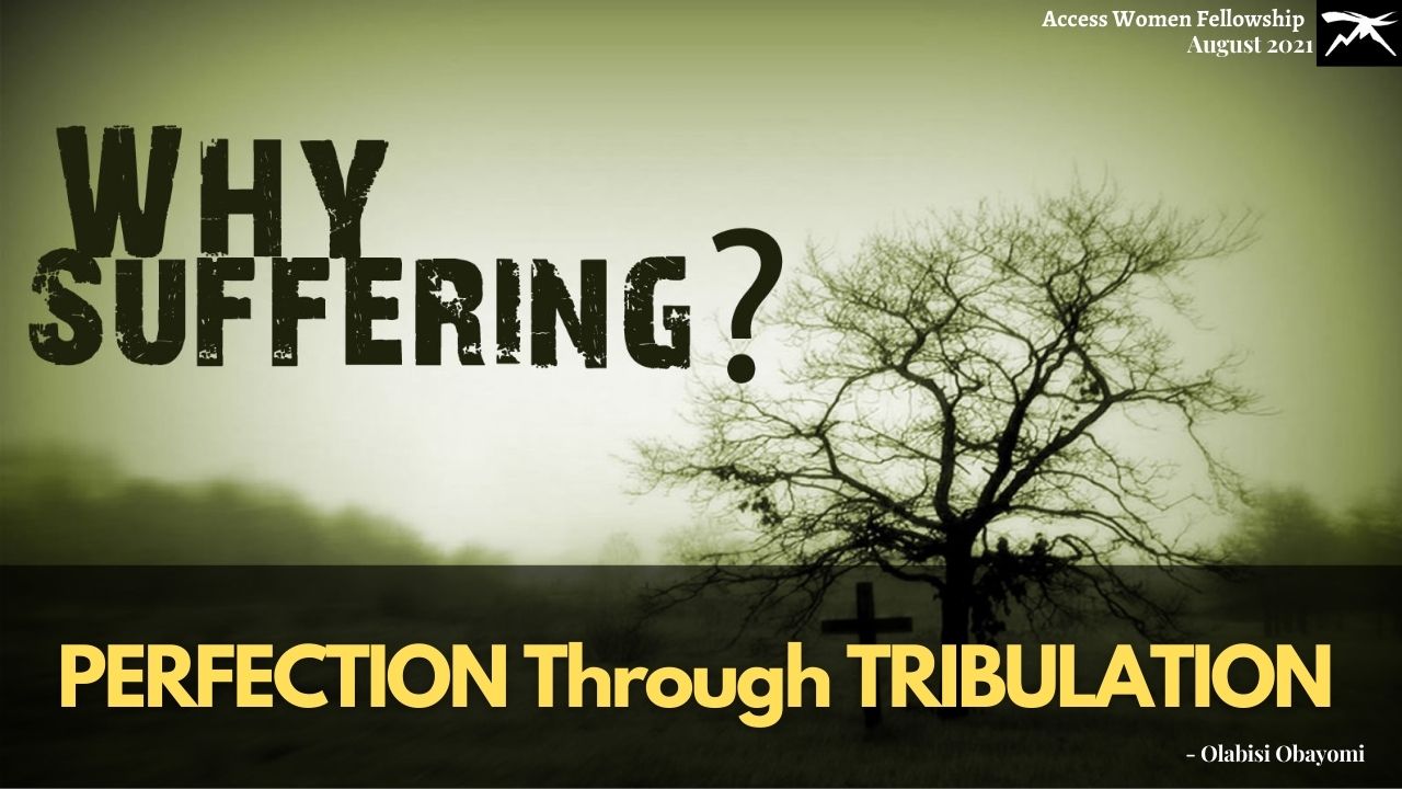 Perfection Through Tribulation