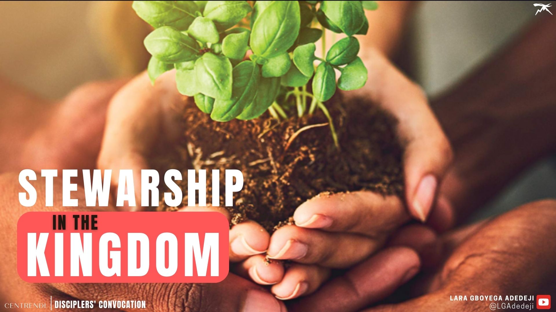 Stewardship In The Kingdom: Being Strategically Positioned for Service And Influence
