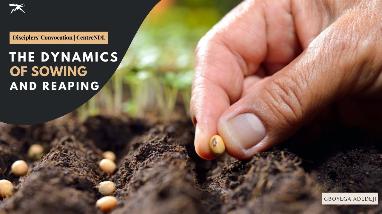The Dynamics of Sowing And Reaping - Seedtime Revisited