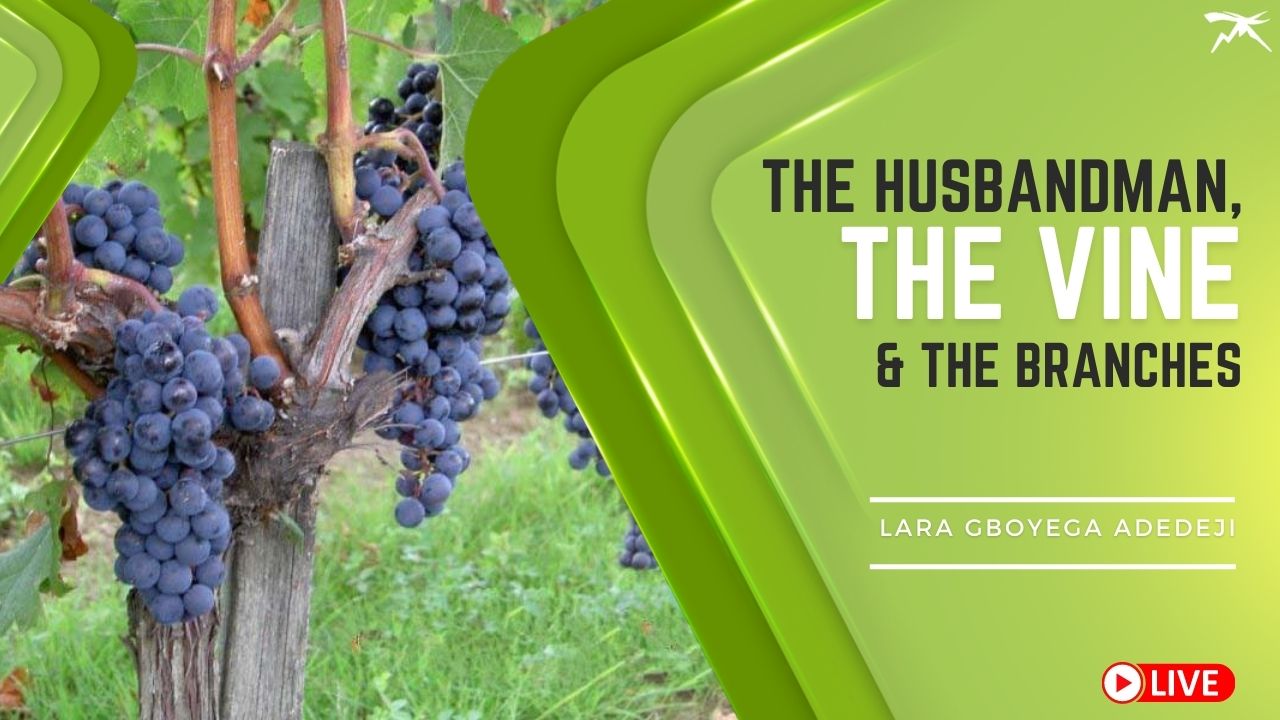 The Husbandman, The VINE & The Branches