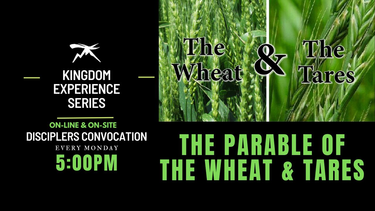 The Kingdom Experience Pt. 3: The Parable of The WHEAT And TARES