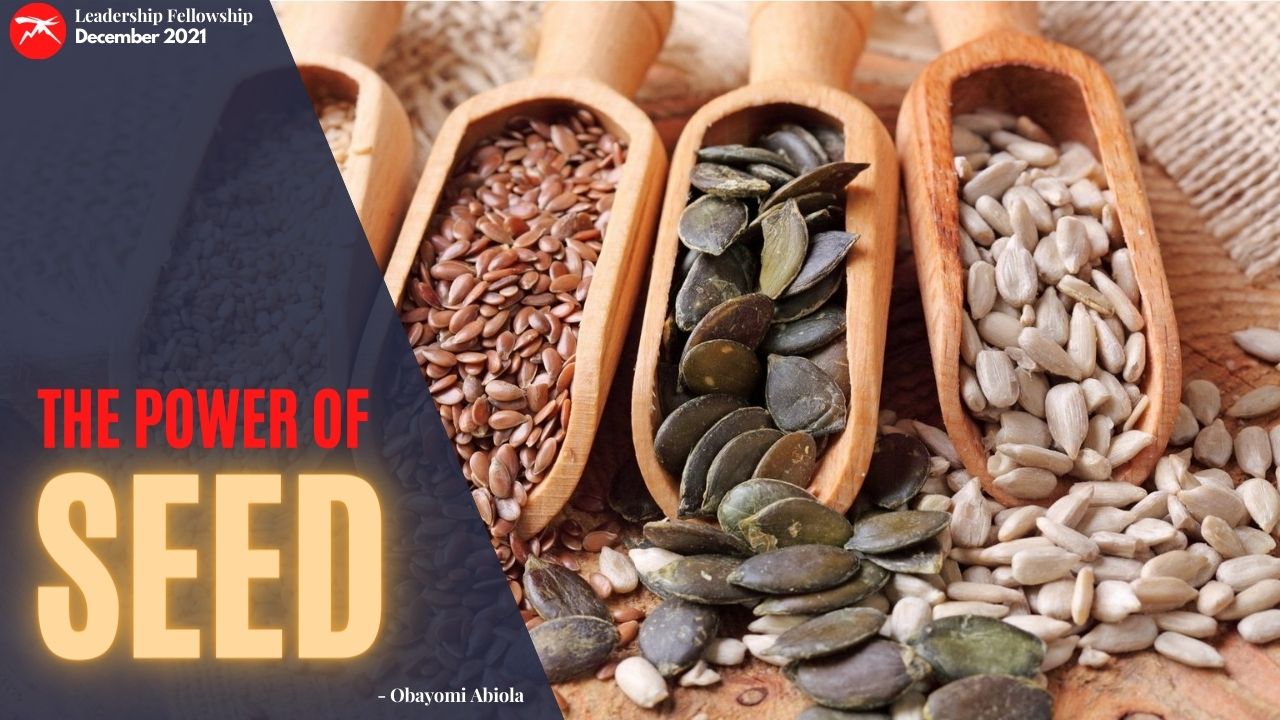 The Power Of The SEED: Understanding The Two-Dimensional Seed Called Christ