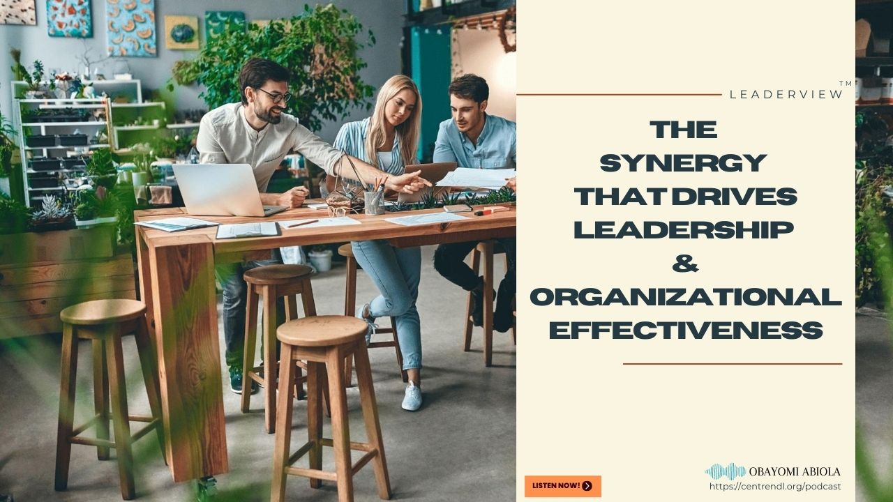 The Synergy That Drives Leadership & Organizational Effectiveness