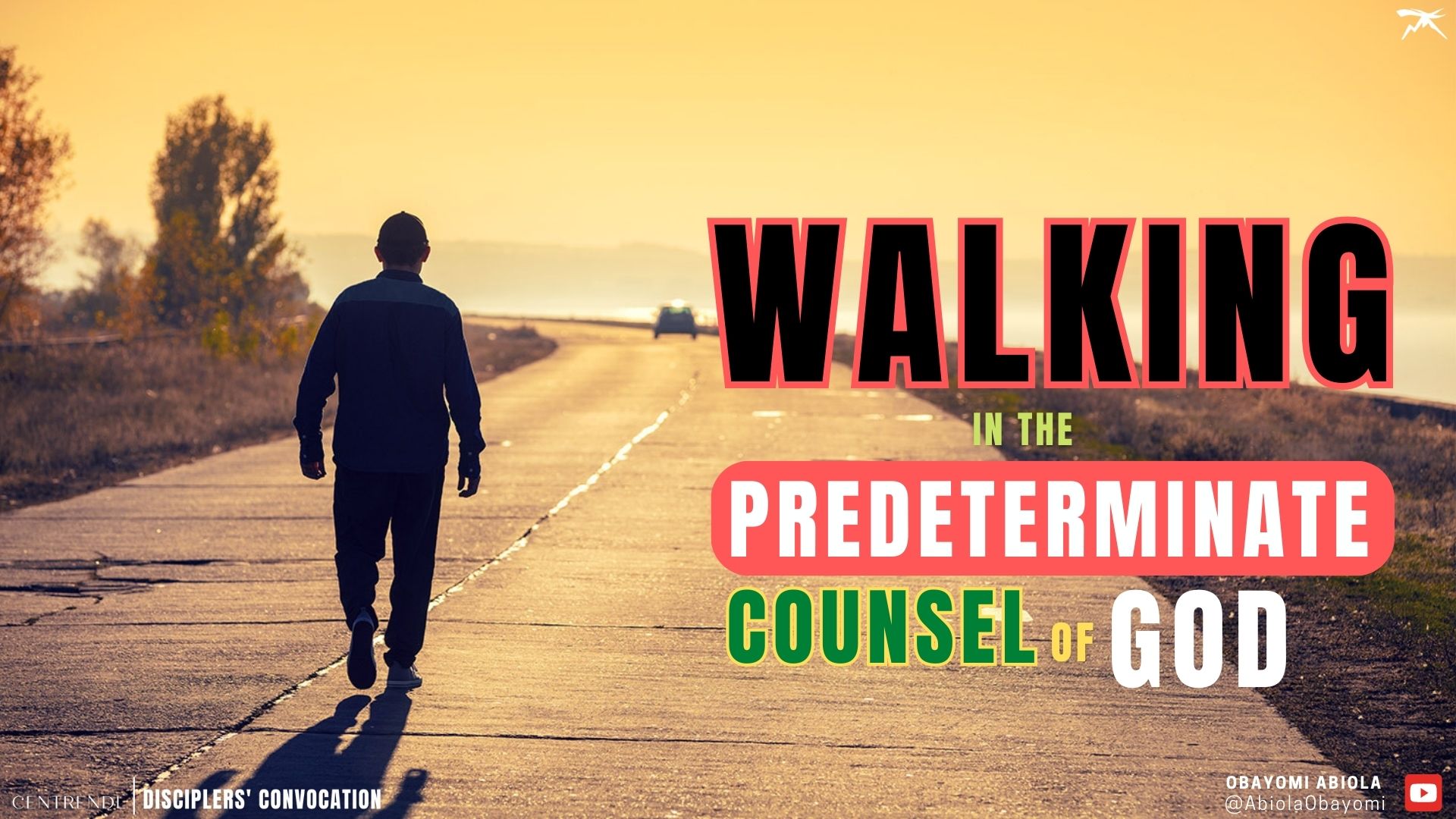 Walking In The Predeterminate Counsel of God