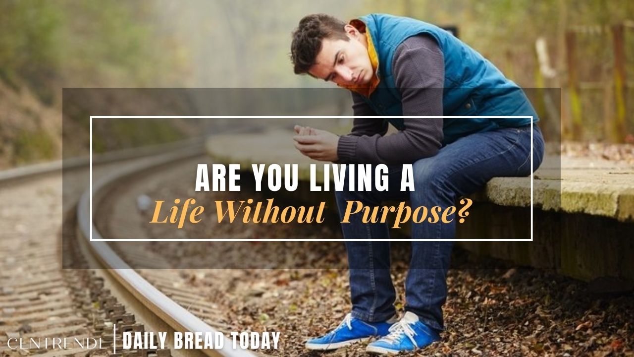 What Is The Purpose of Your Living?
